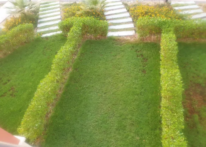 امواج عيون *